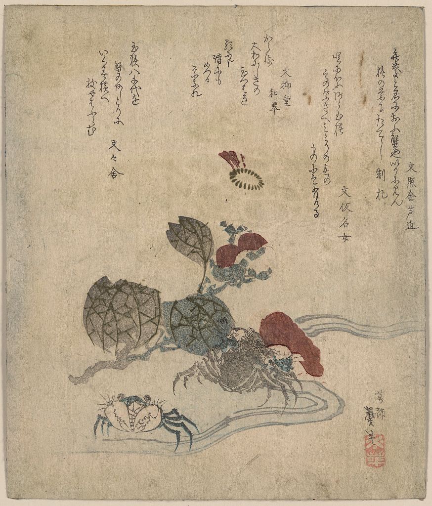 A picture of Benkeigani to tsubaki