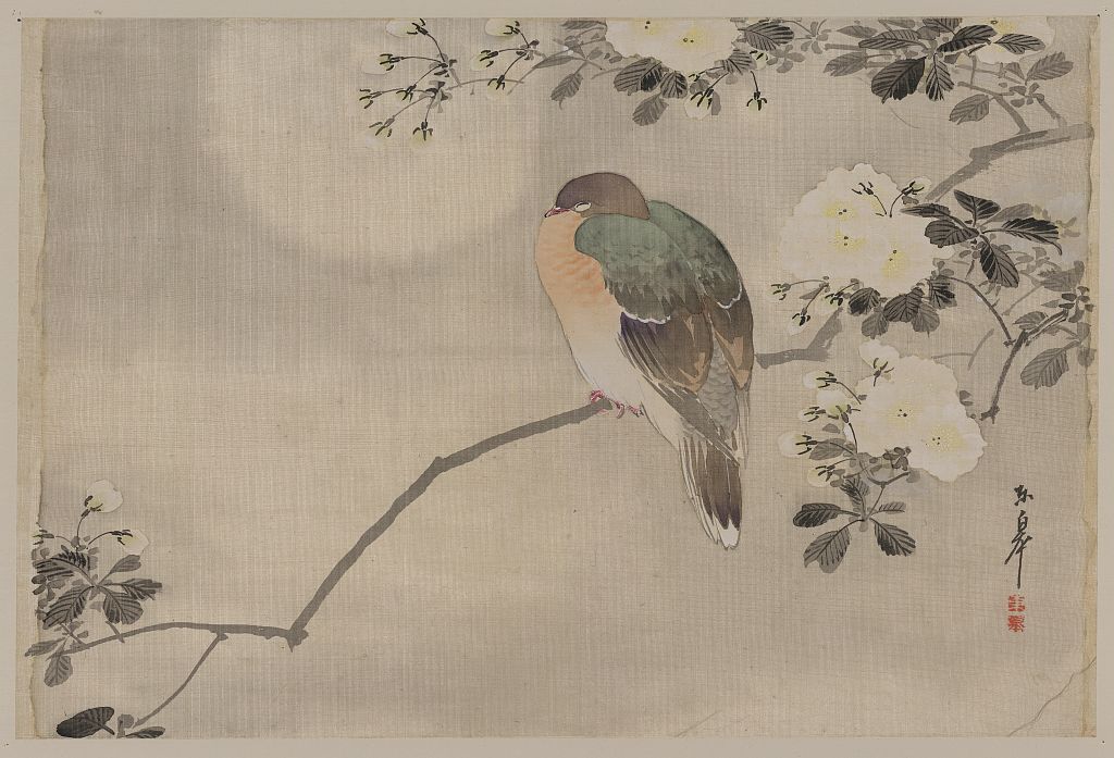 A picture of Bird perched on a branch of a blossoming tree