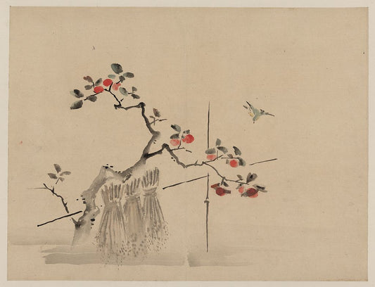 A picture of Blue bird about to land on a branch of a fruit tree