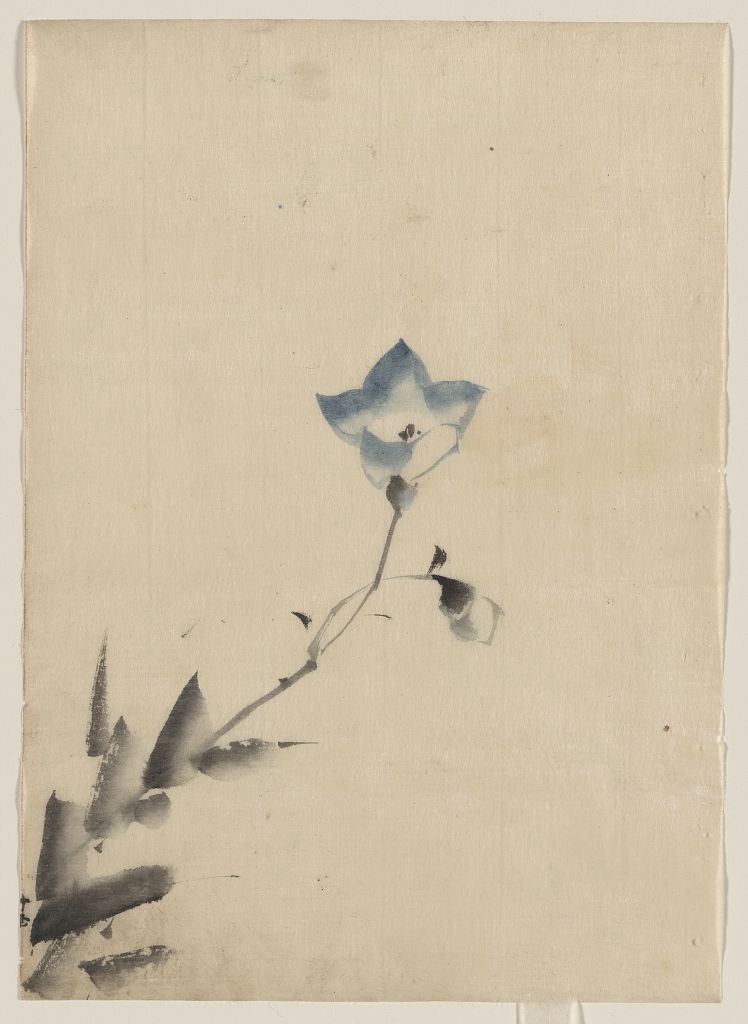 A picture of Blue blossom at the end of a stem