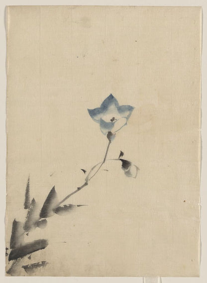 A picture of Blue blossom at the end of a stem