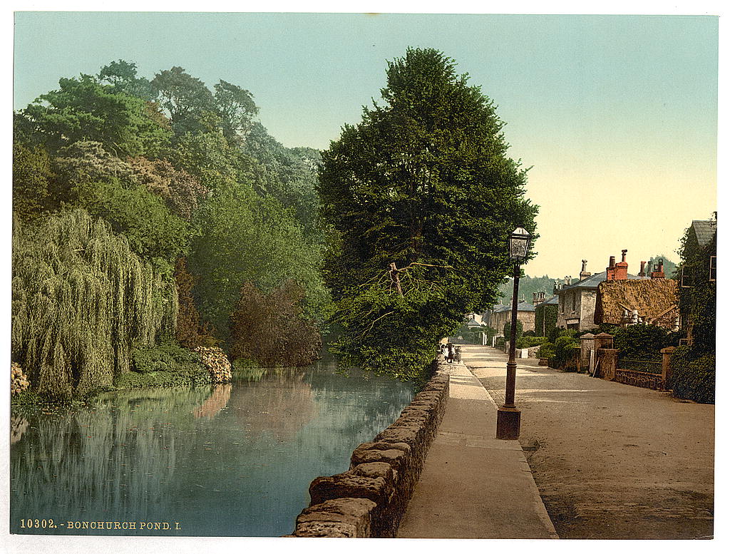 A picture of Bonchurch Pond, I., Isle of Wight, England