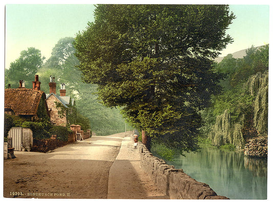 A picture of Bonchurch Pond, II., Isle of Wight, England