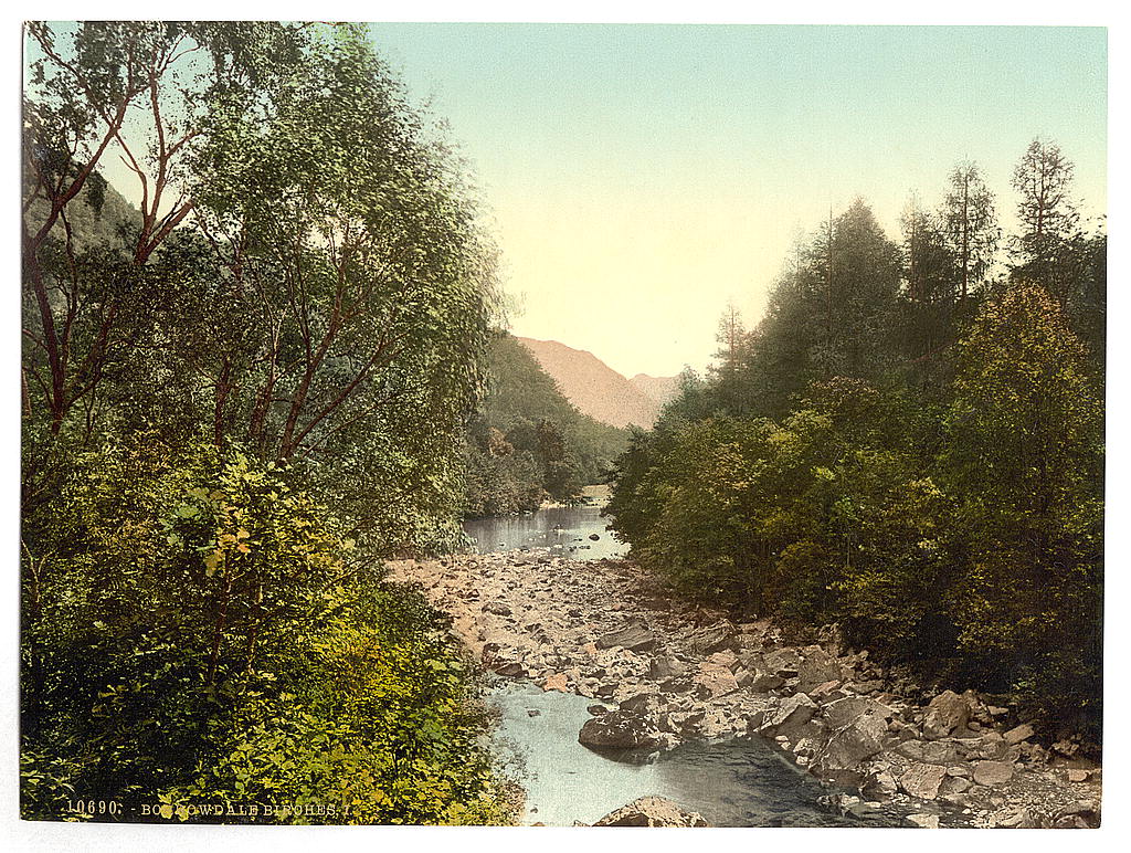 A picture of Borrowdale Birches, I., Lake District, England