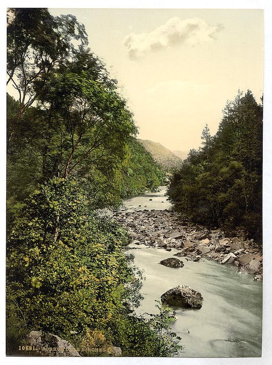 A picture of Borrowdale Birches, II., Lake District, England