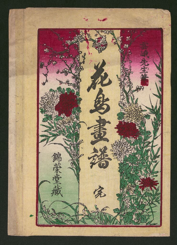 A picture of Botanical book illustration (or possibly at one time an envelope) with text and flowers
