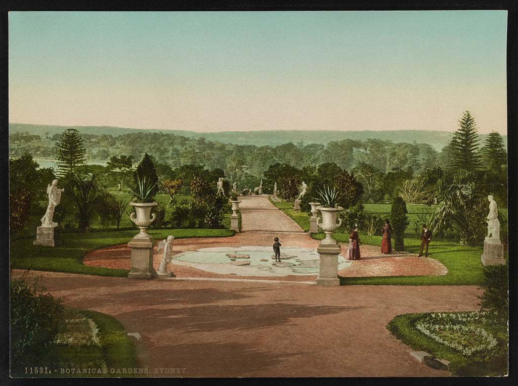 A picture of Botanical Gardens. Sydney