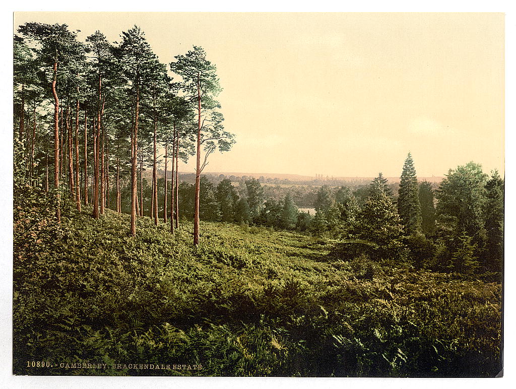 A picture of Brackendale, Estade, Camberley, England