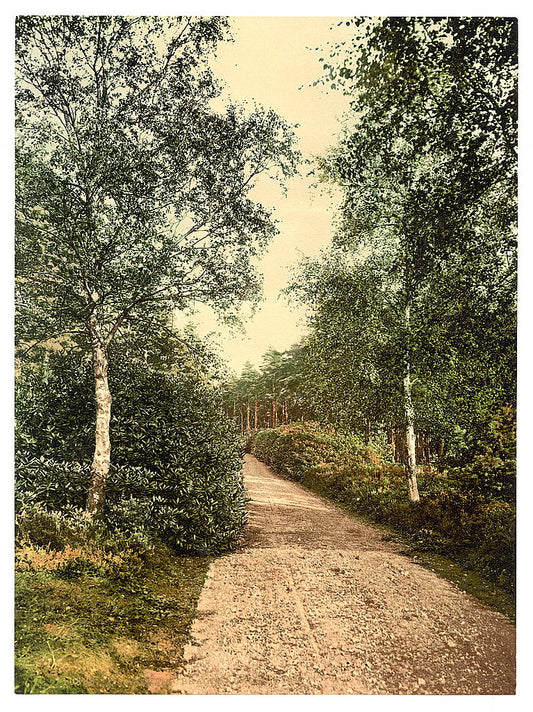 A picture of Brackendale, the drive, Camberley, England