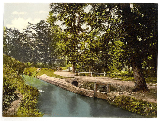 A picture of Bradley Woods, Newton Abbott, England