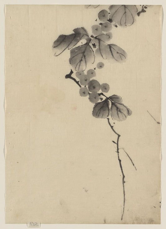 A picture of Branch with leaves and berries