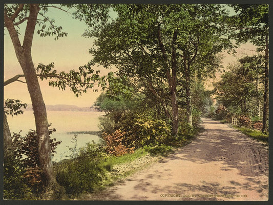 A picture of Budd's Lake, New Jersey