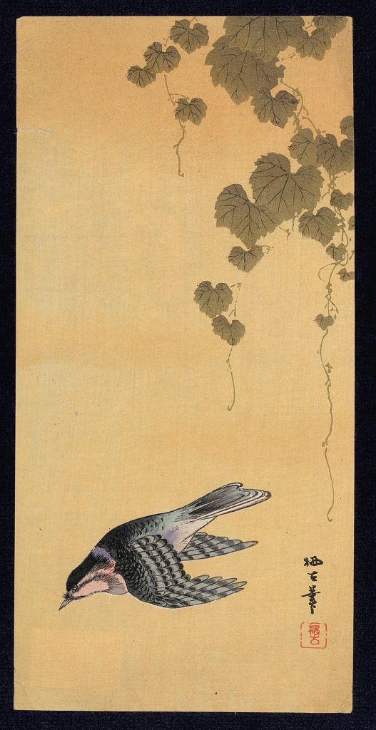A picture of Budō ni shōkin