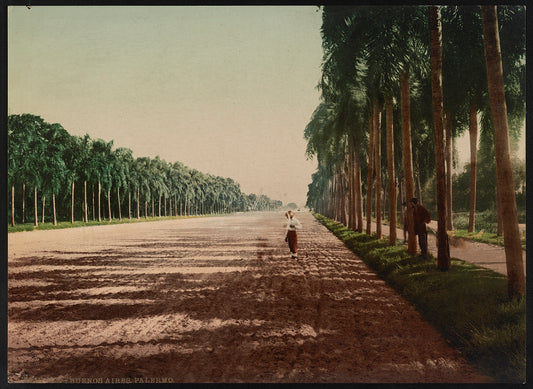 A picture of Buenos Aires. Palermo