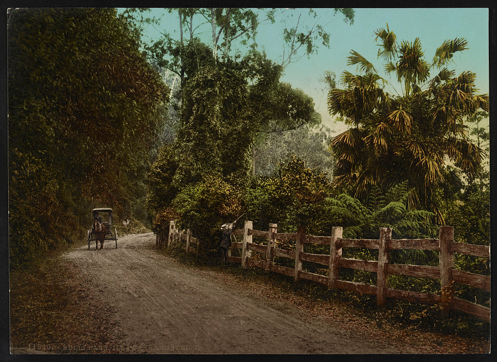 A picture of Bulli Pass. Illawarra District