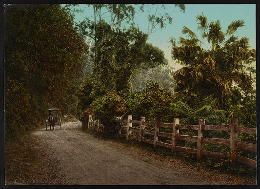 A picture of Bulli Pass. Illawarra District