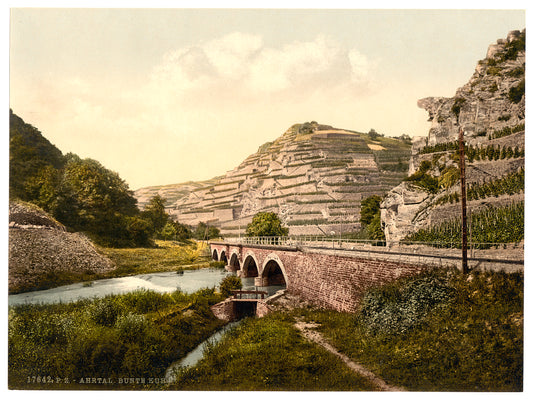 A picture of Bunte Kuh, Ahrthal (i.e., Ahrtal), the Rhine, Germany