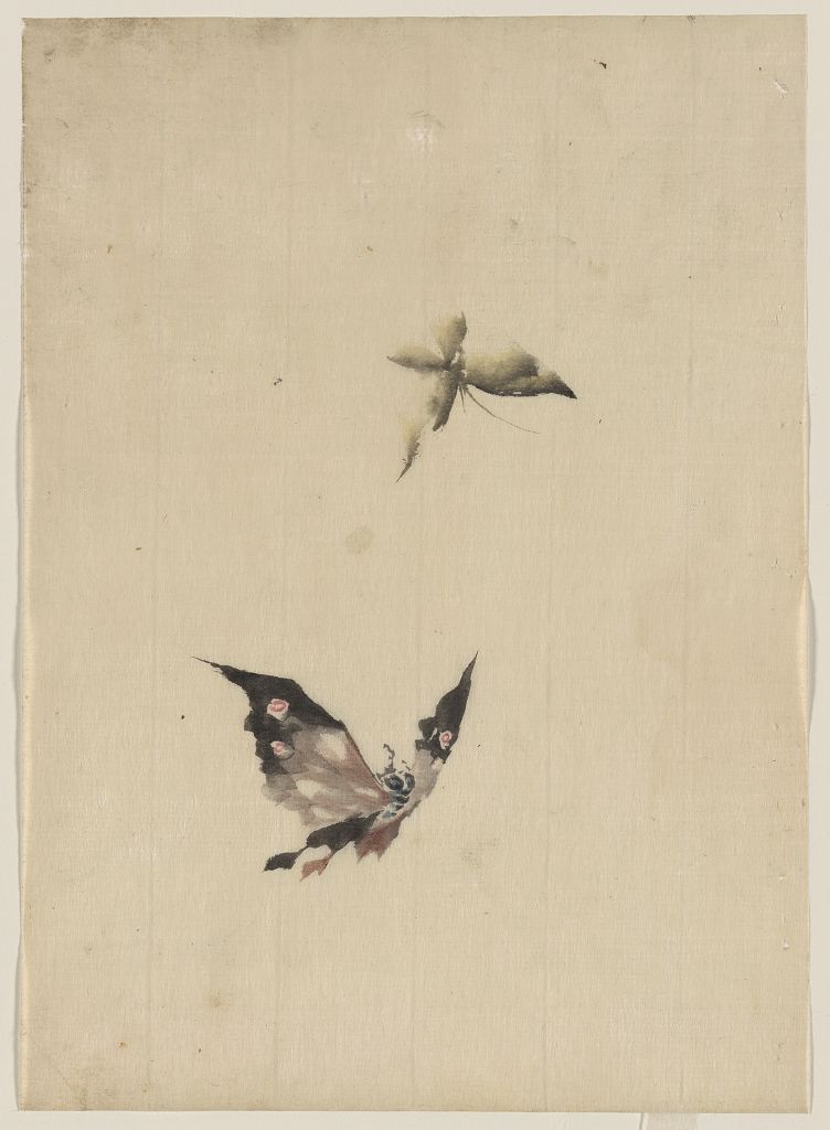 A picture of Butterfly and moth