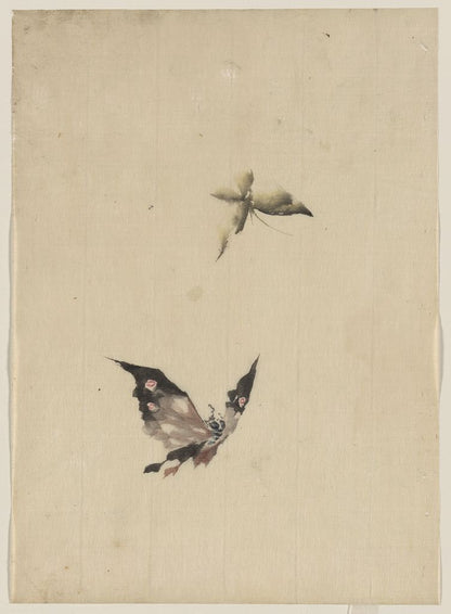 A picture of Butterfly and moth
