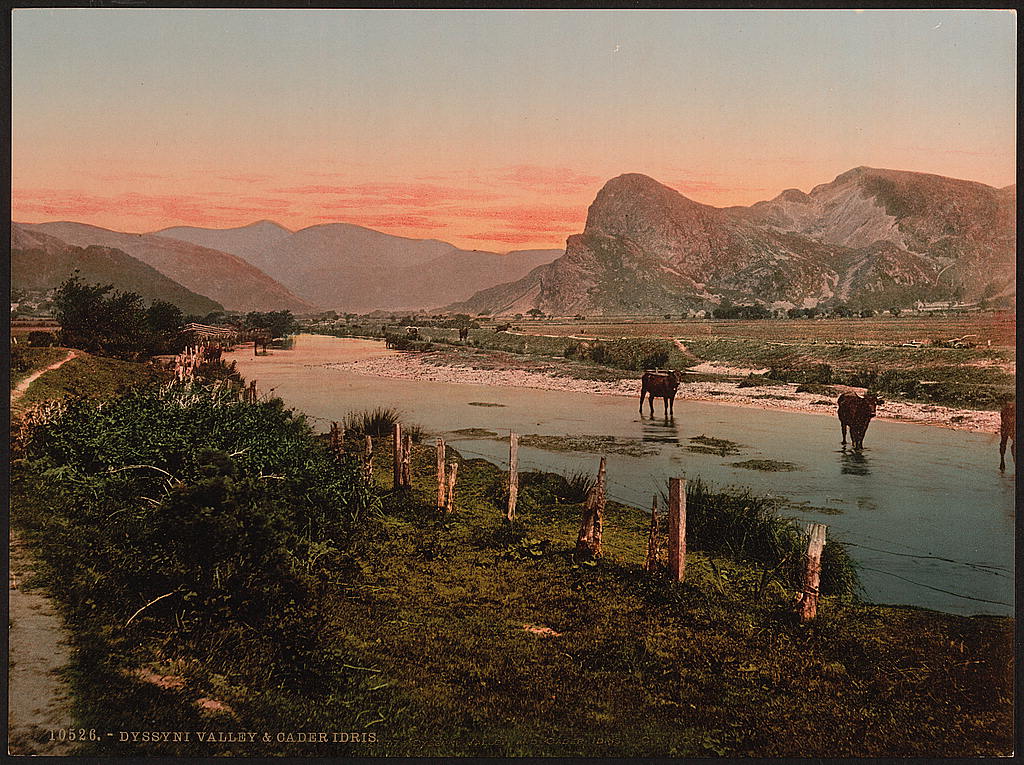 A picture of Cader Idris (i.e. Cadair Idris) and Dyssyni Valley (cattle study), Wales 