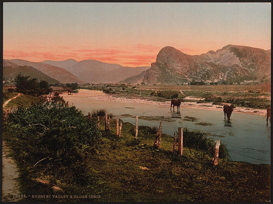 A picture of Cader Idris (i.e. Cadair Idris) and Dyssyni Valley (cattle study), Wales 