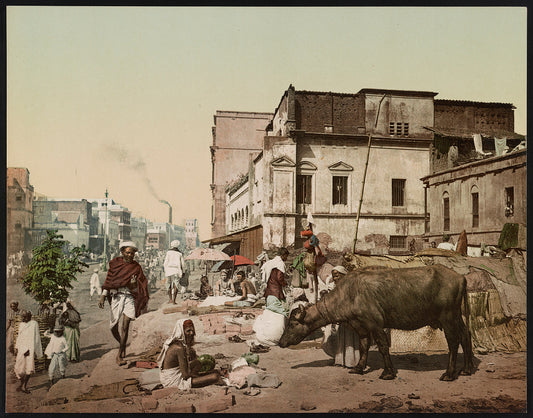 A picture of Calcutta. Harrison Road. I.