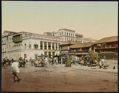 A picture of Calcutta. Harrison Road. II.