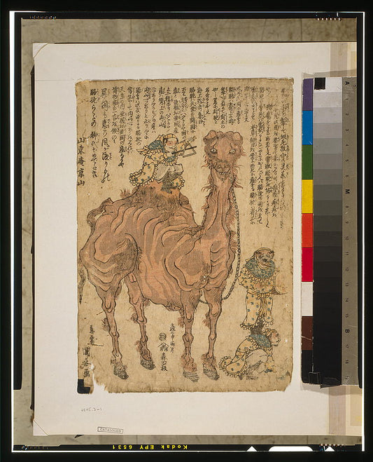 A picture of Camel