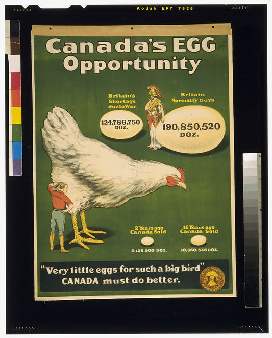 A picture of Canada's egg opportunity