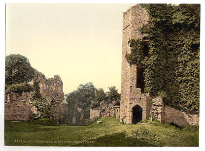 A picture of Castle, the octagonal tower, Goodrich, England
