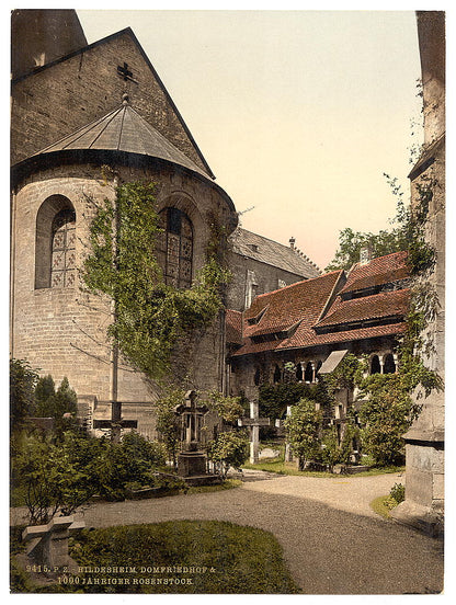 A picture of Cathedral, churchyard and 1,000 year old rose tree, Hildesheim, Hanover, Germany