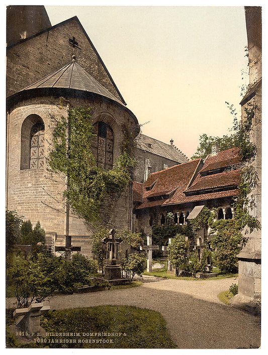 A picture of Cathedral, churchyard and 1,000 year old rose tree, Hildesheim, Hanover, Germany