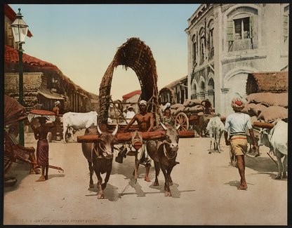 A picture of Ceylon. Colombo. Street Scene