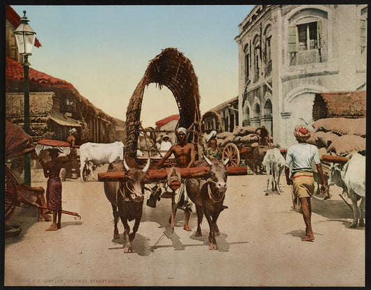 A picture of Ceylon. Colombo. Street Scene