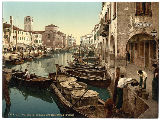 A picture of Chioggia, fish market, Venice, Italy