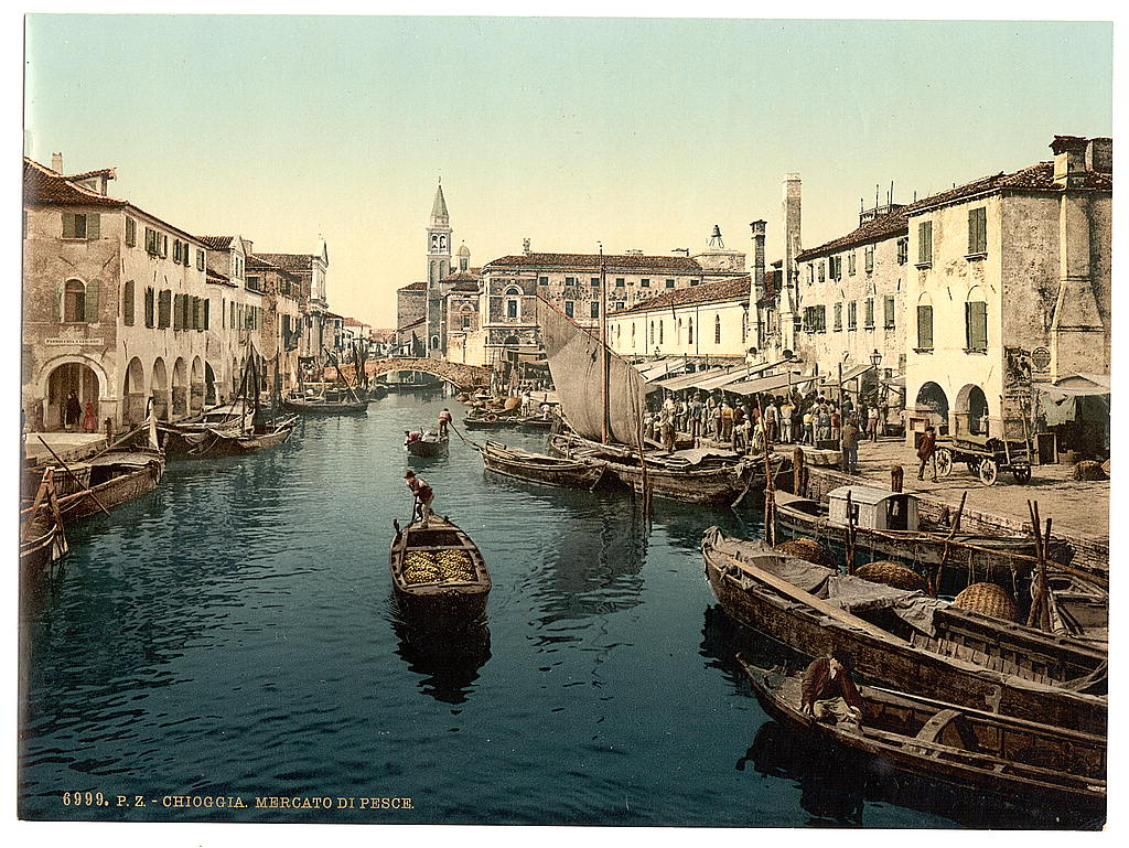 A picture of Chioggia, fish market, Venice, Italy