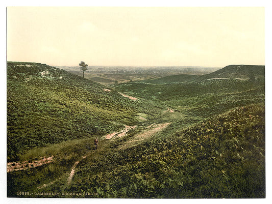 A picture of Chobham Ridges, Camberley, England