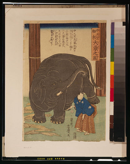 A picture of Chūtenjiku hakurai ōzō no zu