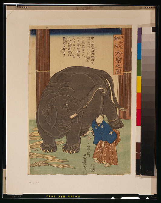 A picture of Chūtenjiku hakurai ōzō no zu