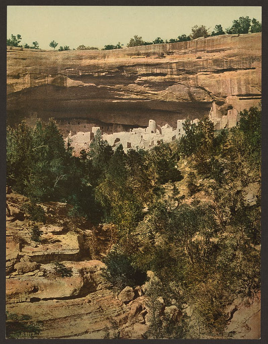 A picture of Cliff Palace, Mesa Verde, general view