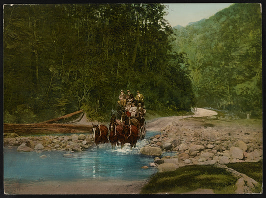 A picture of Coaching in Buller Gorge