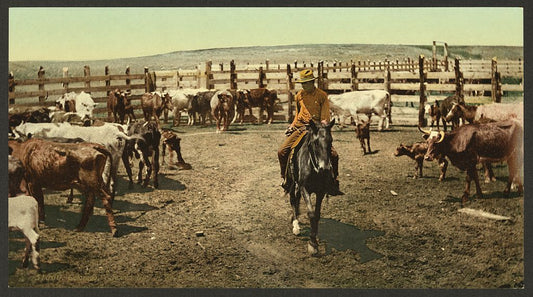 A picture of Colorado. "Round up" in the corral