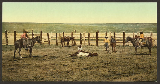 A picture of Colorado. "The round up" roping a steer