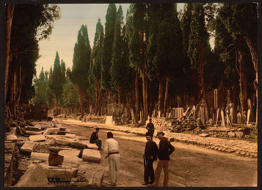 A picture of Cypresses and road leading to the cemetery, Scutari, Constantinople, Turkey