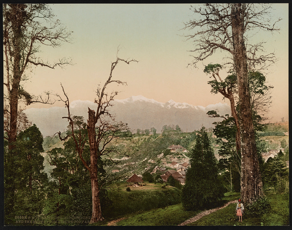 A picture of Darjeeling. Kinchinjunga and the snow from Beechwood Park