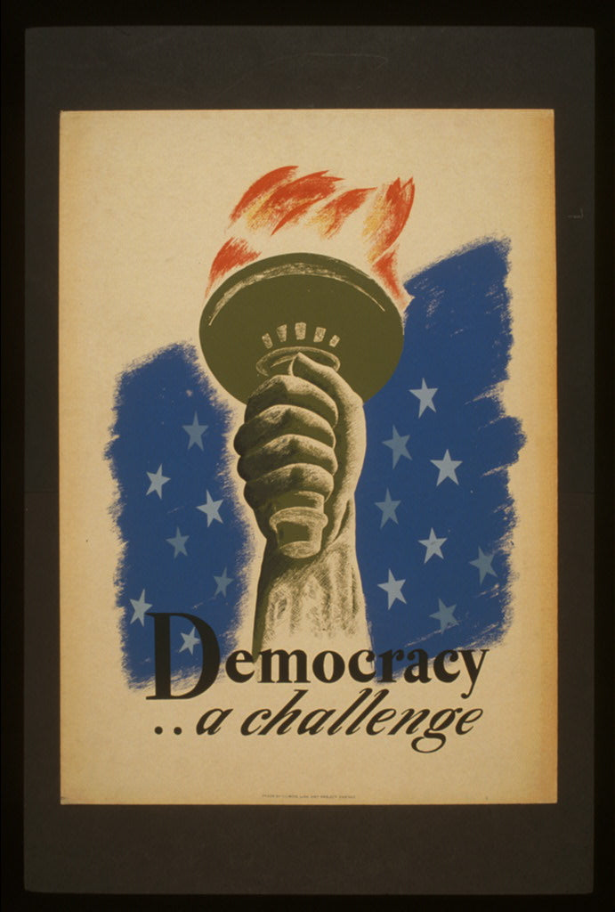 A picture of Democracy .. a challenge