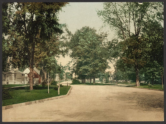 A picture of Detroit. Western boulevard