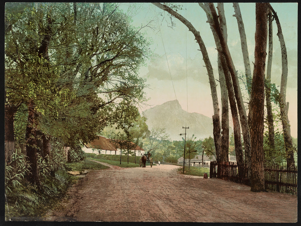 A picture of Devil's Peak, from Waterloo Green, Wynberg