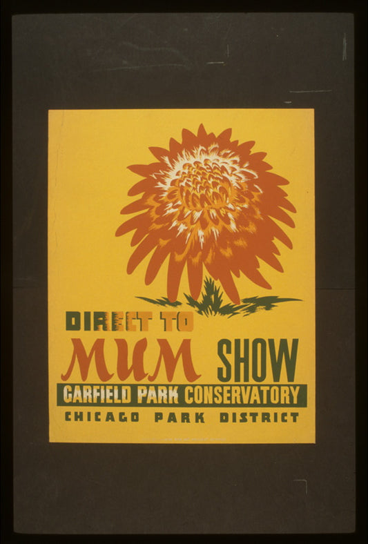 A picture of Direct to mum show, Garfield Park Conservatory