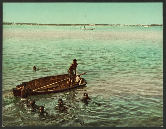 A picture of Diving for coins, Nassau, Bahama Isl'ds